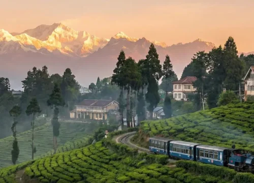 Darjeeling Tour (Queen of the Hills of India)