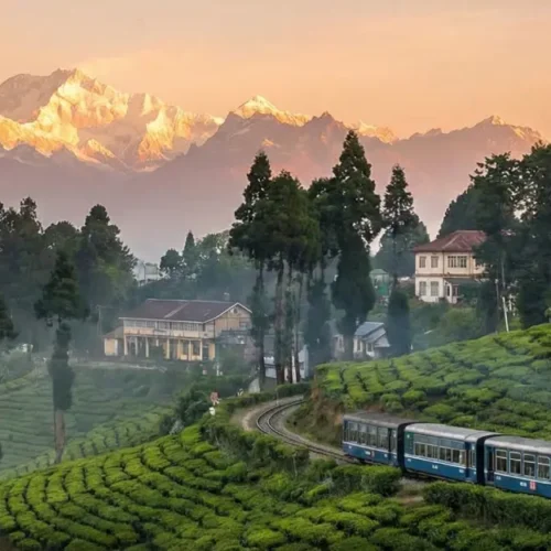 Darjeeling Tour (Queen of the Hills of India)