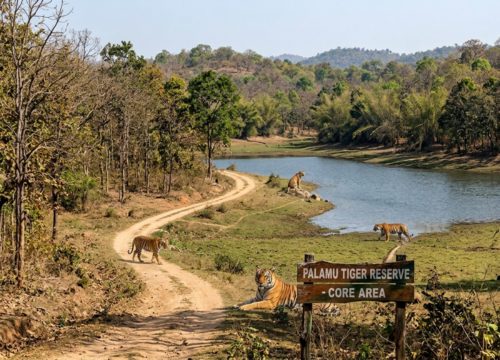 Jharkhand Tour (The Land of Forests & Waterfalls)